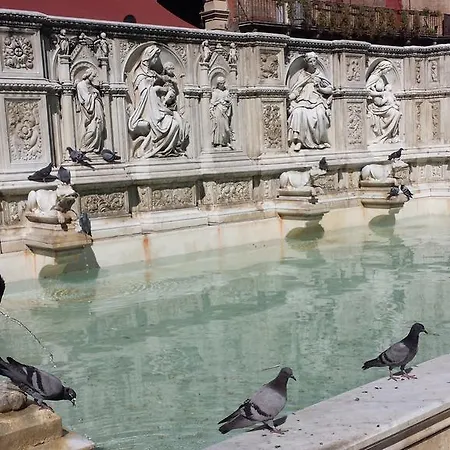 Piazza Del Campo's House Appartement *
